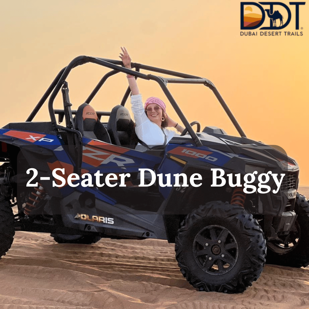 2 Seater Dune Buggy Rental