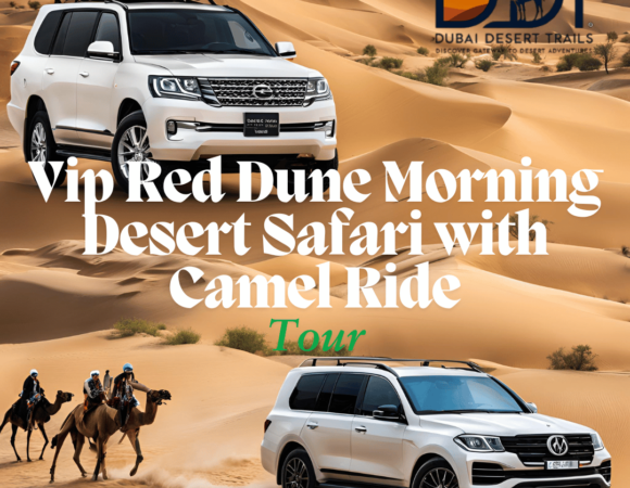 VIP Red Dune Morning Desert Safari With Camel Ride