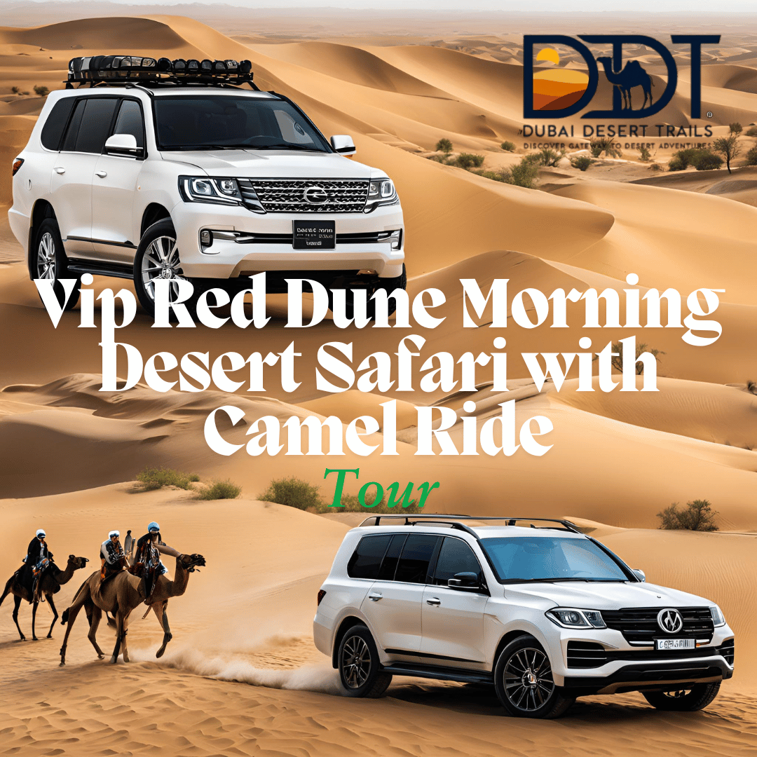 VIP Red Dune Morning Desert Safari With Camel Ride